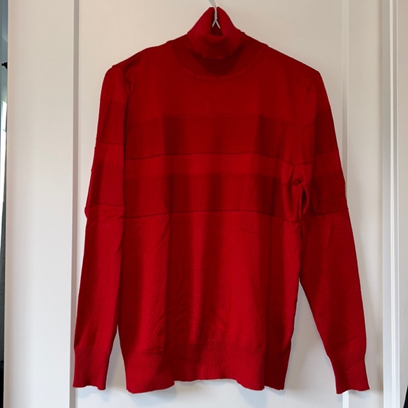 Red Monochrome Striped Sweater Turtleneck - Picture 1 of 2